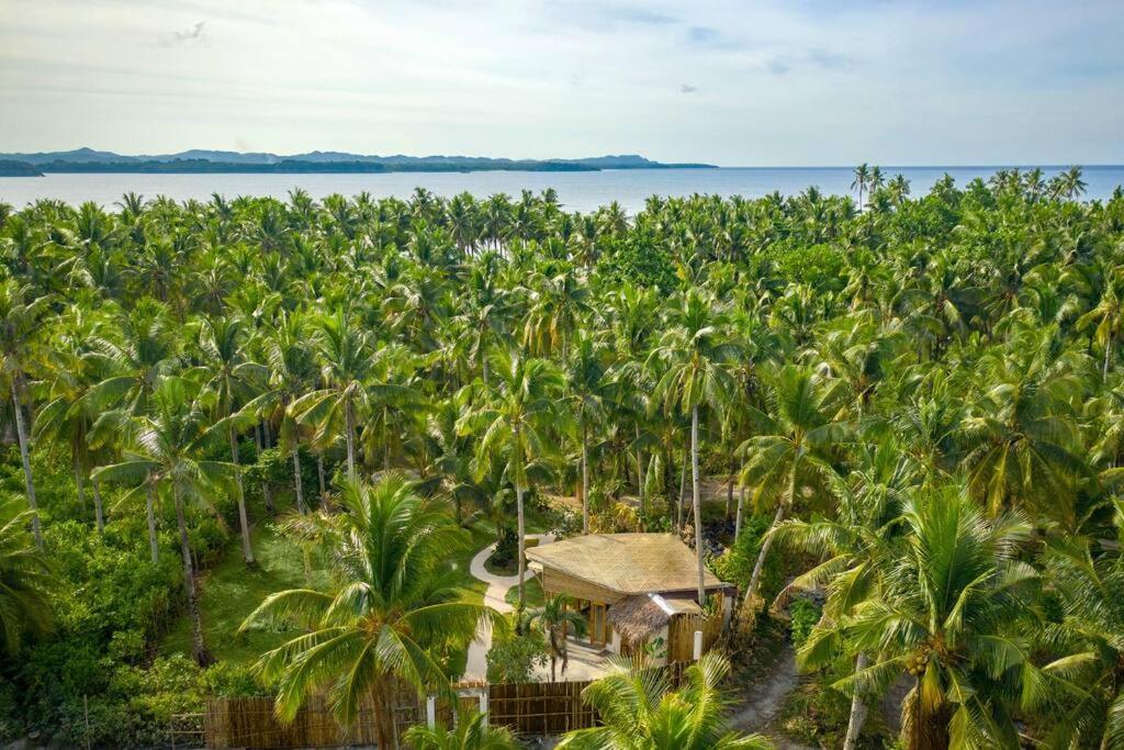 The Bamboo Houses - Tropical Garden & Empty Beach General Luna  Luaran gambar